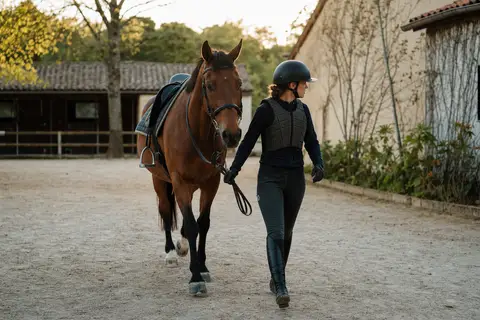 assurance cavalier